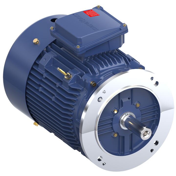 Increased Safety Motors Ex eb, Totally Enclosed Fan Cooled, 10 HP, 3 Ph, 50 Hz, 400 V, 728 RPM, 160L Frame