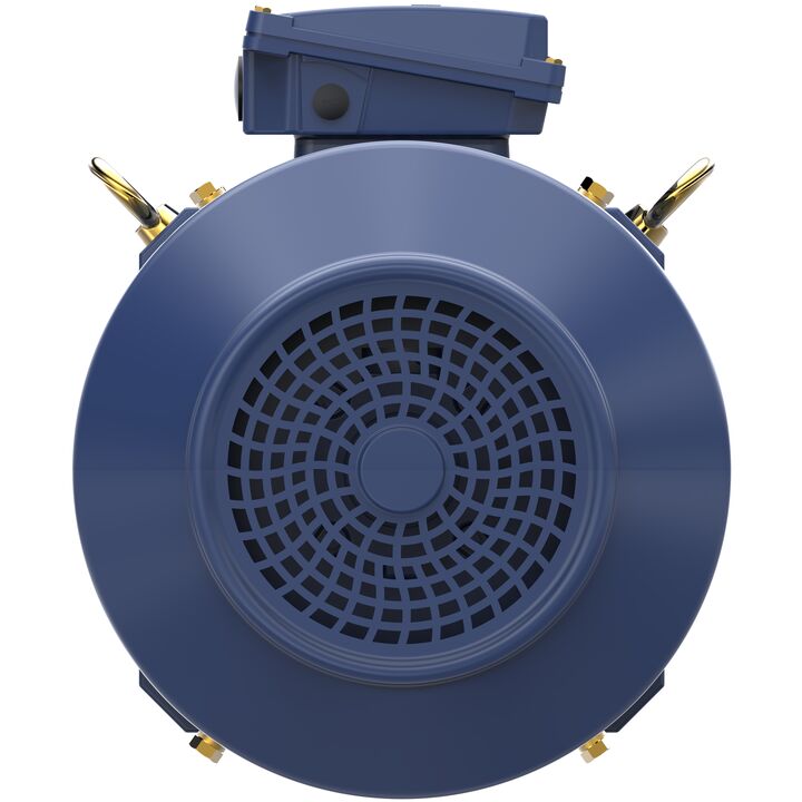 Increased Safety Motors Ex eb, Totally Enclosed Fan Cooled, 25 HP, 3 Ph, 50 Hz, 400 V, 1477 RPM, 180M Frame