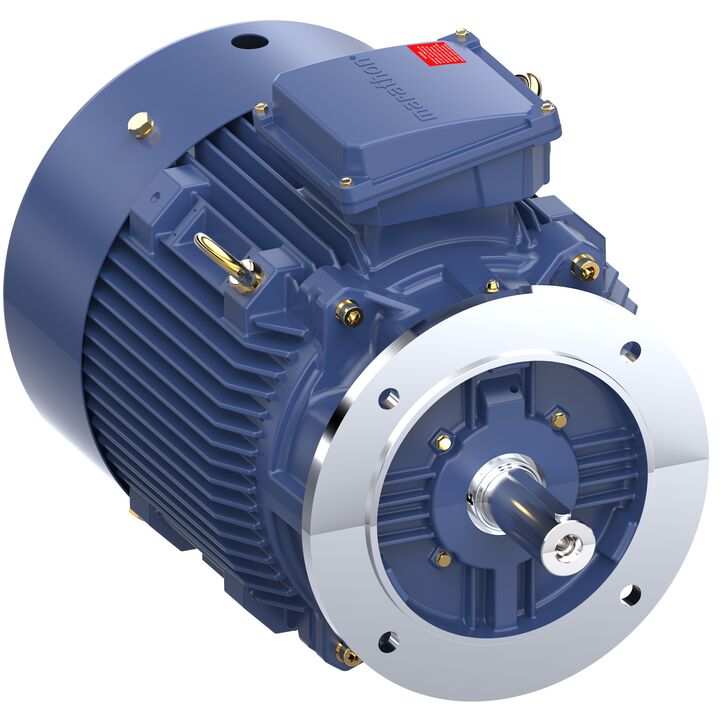 Increased Safety Motors Ex eb, Totally Enclosed Fan Cooled, 25 HP, 3 Ph, 50 Hz, 400 V, 1477 RPM, 180M Frame