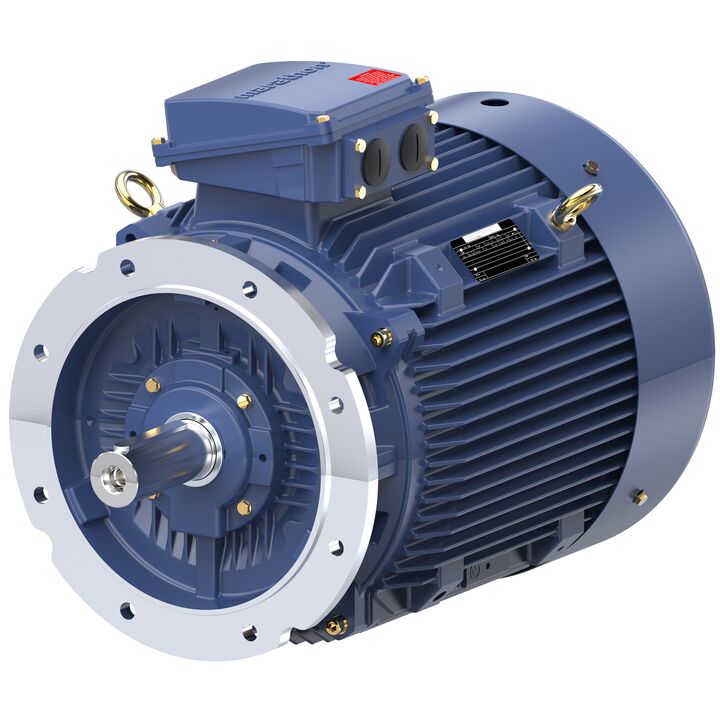 Increased Safety Motors Ex eb, Totally Enclosed Fan Cooled, 40 HP, 3 Ph, 50 Hz, 400 V, 987 RPM, 225M Frame