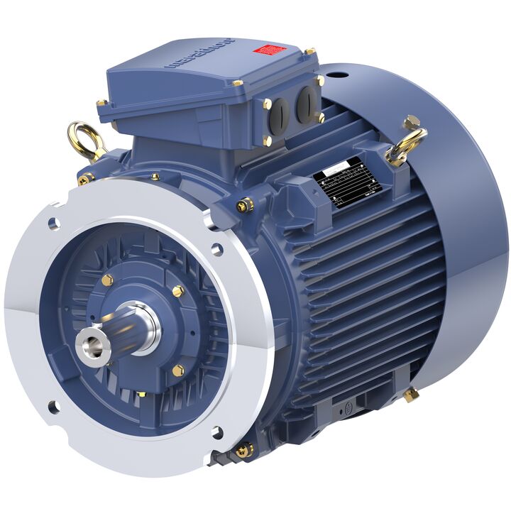 Increased Safety Motors Ex eb, Totally Enclosed Fan Cooled, 40 HP, 3 Ph, 50 Hz, 400 V, 2974 RPM, 200L Frame