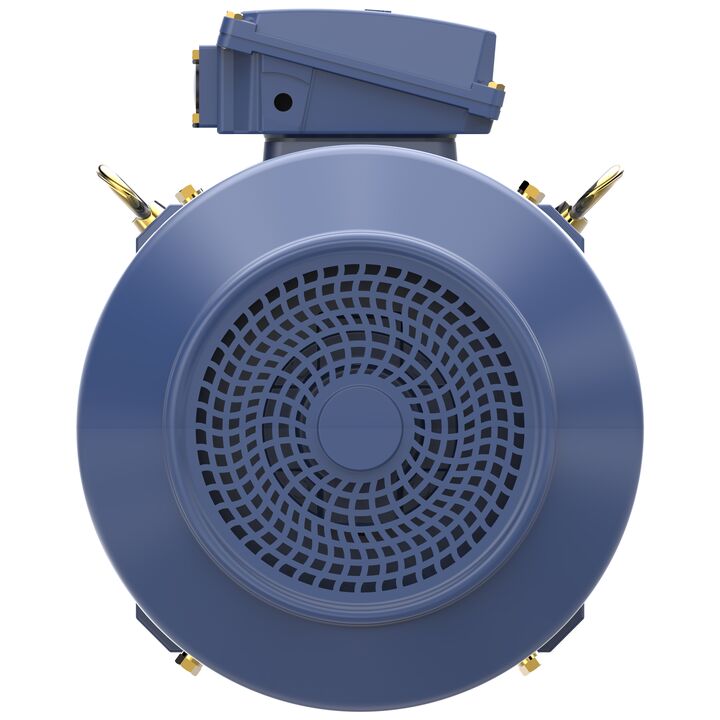 Increased Safety Motors Ex eb, Totally Enclosed Fan Cooled, 40 HP, 3 Ph, 50 Hz, 400 V, 2974 RPM, 200L Frame