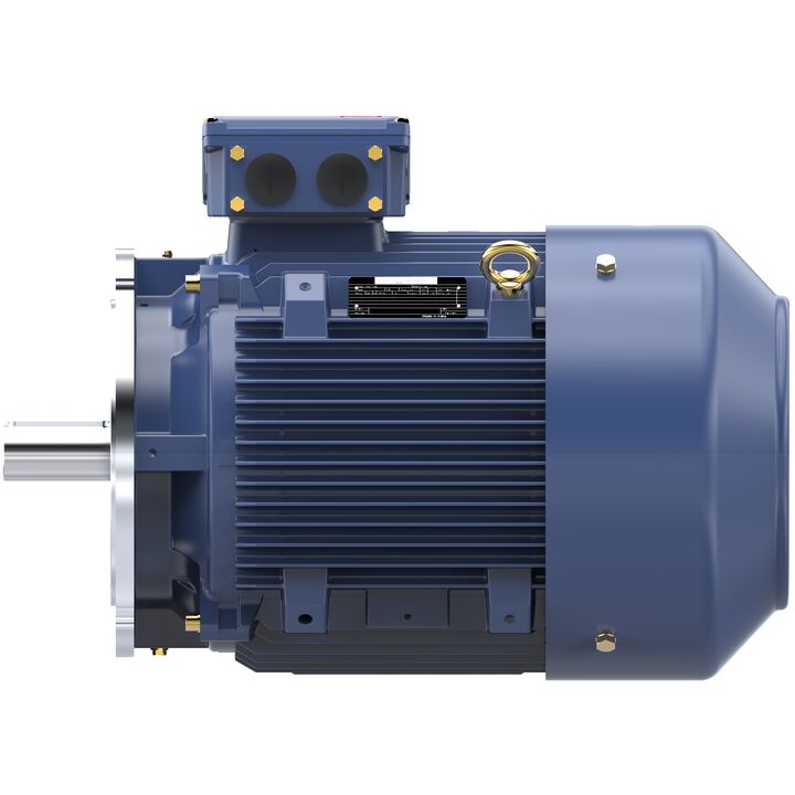 Increased Safety Motors Ex eb, Totally Enclosed Fan Cooled, 40 HP, 3 Ph, 50 Hz, 400 V, 2974 RPM, 200L Frame