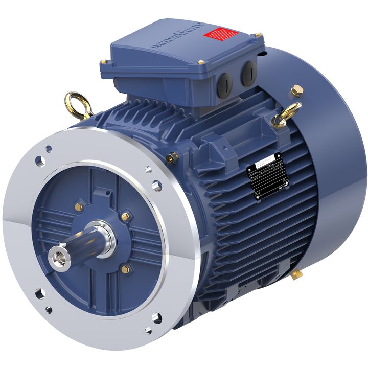 Increased Safety Motors Ex eb, Totally Enclosed Fan Cooled, 12.5 HP, 3 Ph, 50 Hz, 400 V, 980 RPM, 160L Frame