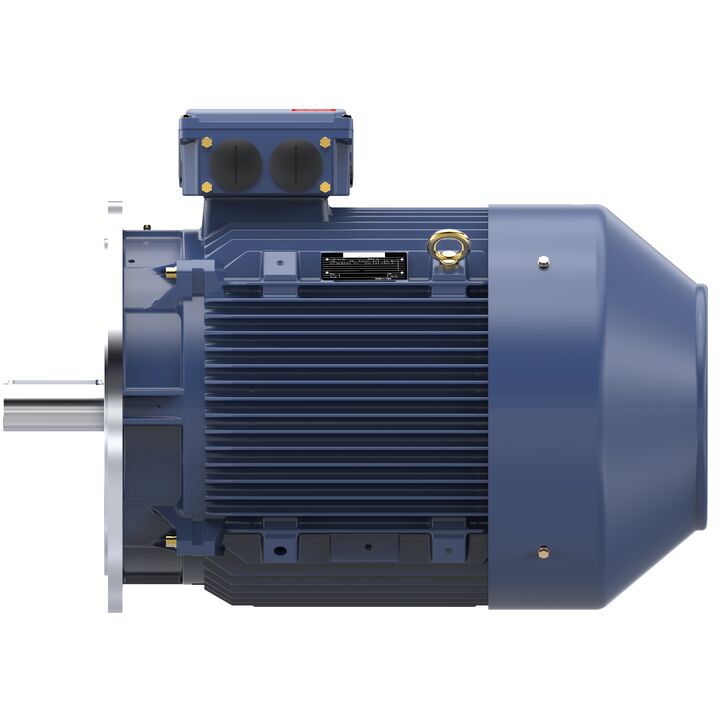 Increased Safety Motors Ex eb, Totally Enclosed Fan Cooled, 40 HP, 3 Ph, 50 Hz, 400 V, 739 RPM, 250M Frame