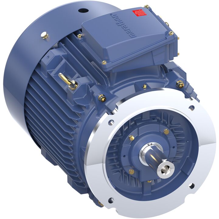 Increased Safety Motors Ex eb, Totally Enclosed Fan Cooled, 20 HP, 3 Ph, 50 Hz, 400 V, 738 RPM, 200L Frame