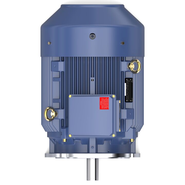 Increased Safety Motors Ex eb, Totally Enclosed Fan Cooled, 60 HP, 3 Ph, 50 Hz, 400 V, 2976 RPM, 225M Frame
