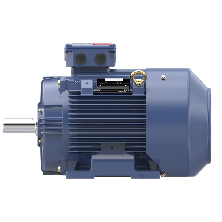 Increased Safety Motors Ex eb, Totally Enclosed Fan Cooled, 12.5 HP, 3 Ph, 50 Hz, 400 V, 980 RPM, 160L Frame