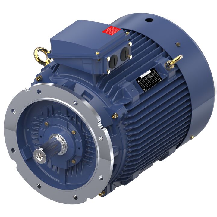 Increased Safety Motors Ex eb, Totally Enclosed Fan Cooled, 60 HP, 3 Ph, 50 Hz, 400 V, 2976 RPM, 225M Frame