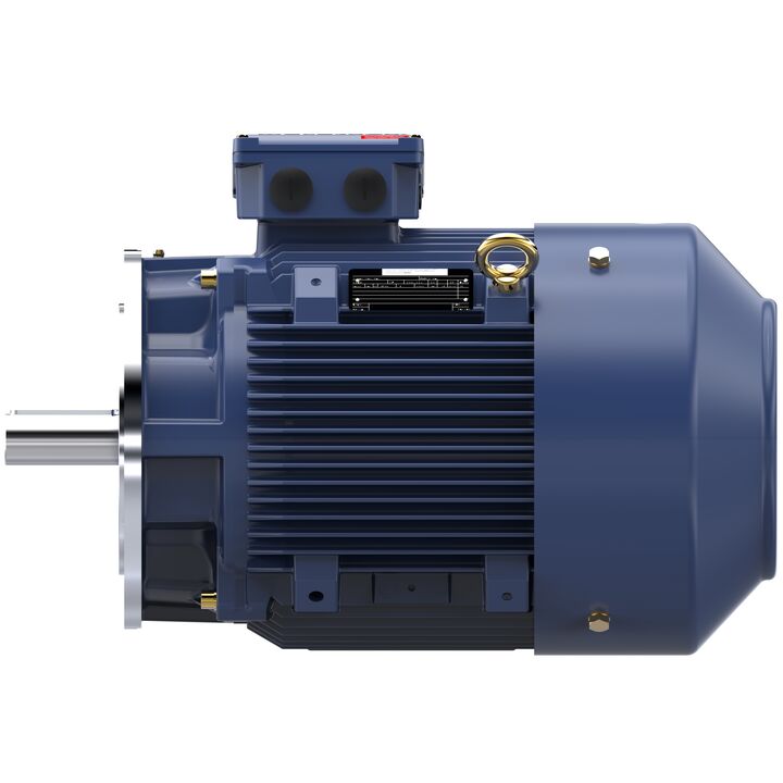 Increased Safety Motors Ex eb, Totally Enclosed Fan Cooled, 25 HP, 3 Ph, 50 Hz, 400 V, 1477 RPM, 180M Frame