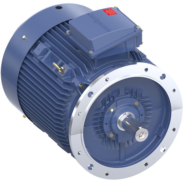 Increased Safety Motors Ex eb, Totally Enclosed Fan Cooled, 75 HP, 3 Ph, 50 Hz, 400 V, 1488 RPM, 250M Frame