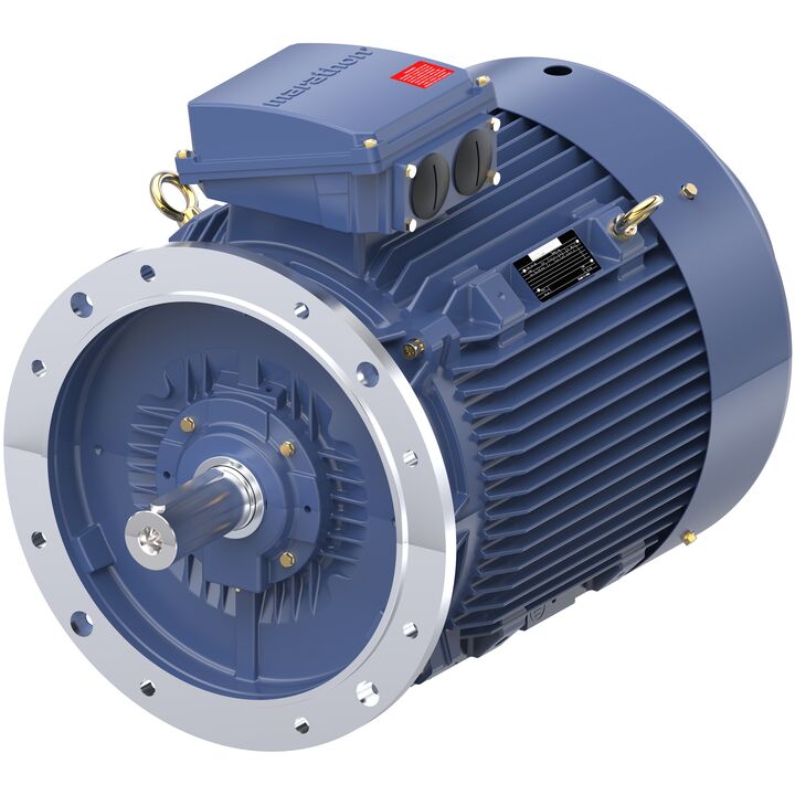 Increased Safety Motors Ex eb, Totally Enclosed Fan Cooled, 40 HP, 3 Ph, 50 Hz, 400 V, 739 RPM, 250M Frame