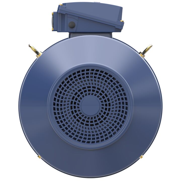 Increased Safety Motors Ex eb, Totally Enclosed Fan Cooled, 40 HP, 3 Ph, 50 Hz, 400 V, 739 RPM, 250M Frame
