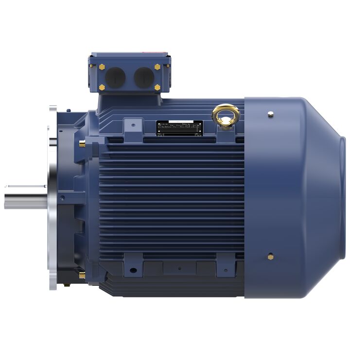 Increased Safety Motors Ex eb, Totally Enclosed Fan Cooled, 60 HP, 3 Ph, 50 Hz, 400 V, 2976 RPM, 225M Frame