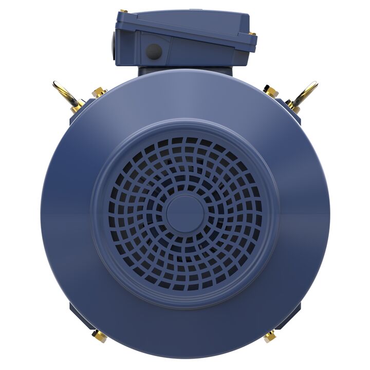 Increased Safety Motors Ex eb, Totally Enclosed Fan Cooled, 15 HP, 3 Ph, 50 Hz, 400 V, 739 RPM, 180L Frame