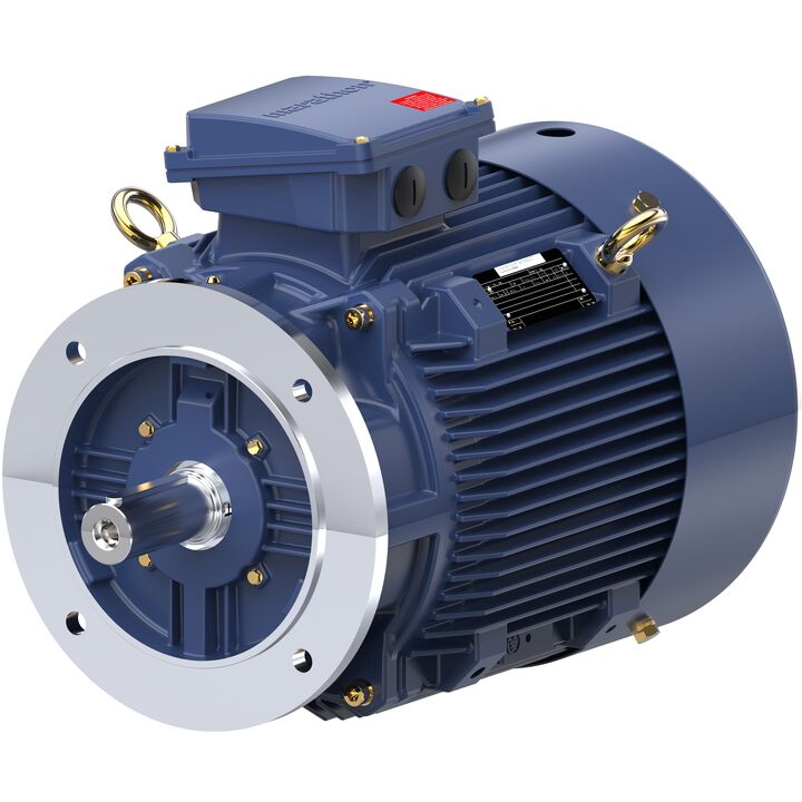 Increased Safety Motors Ex eb, Totally Enclosed Fan Cooled, 25 HP, 3 Ph, 50 Hz, 400 V, 1477 RPM, 180M Frame