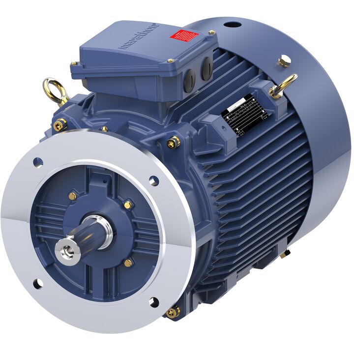 Increased Safety Motors Ex eb, Totally Enclosed Fan Cooled, 15 HP, 3 Ph, 50 Hz, 400 V, 739 RPM, 180L Frame