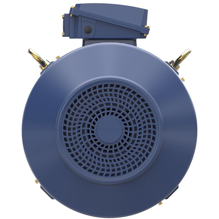 Increased Safety Motors Ex eb, Totally Enclosed Fan Cooled, 60 HP, 3 Ph, 50 Hz, 400 V, 2976 RPM, 225M Frame