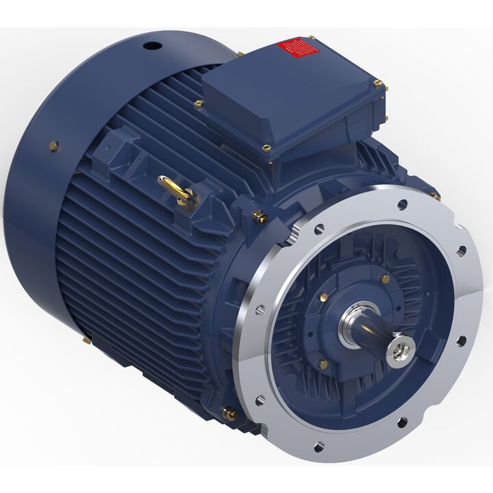 Increased Safety Motors Ex eb, Totally Enclosed Fan Cooled, 60 HP, 3 Ph, 50 Hz, 400 V, 2976 RPM, 225M Frame