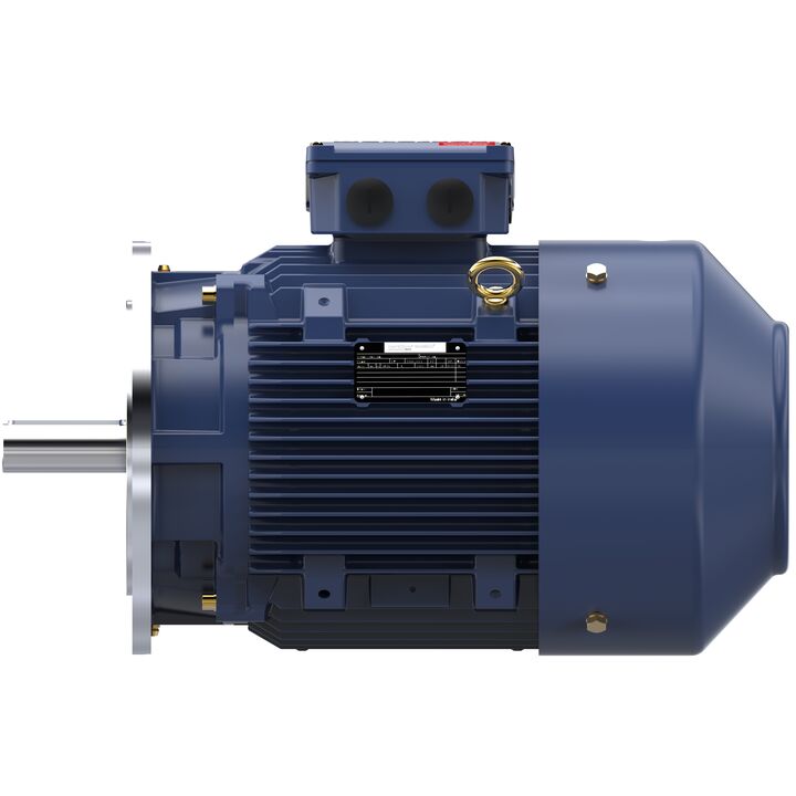 Increased Safety Motors Ex eb, Totally Enclosed Fan Cooled, 12.5 HP, 3 Ph, 50 Hz, 400 V, 980 RPM, 160L Frame