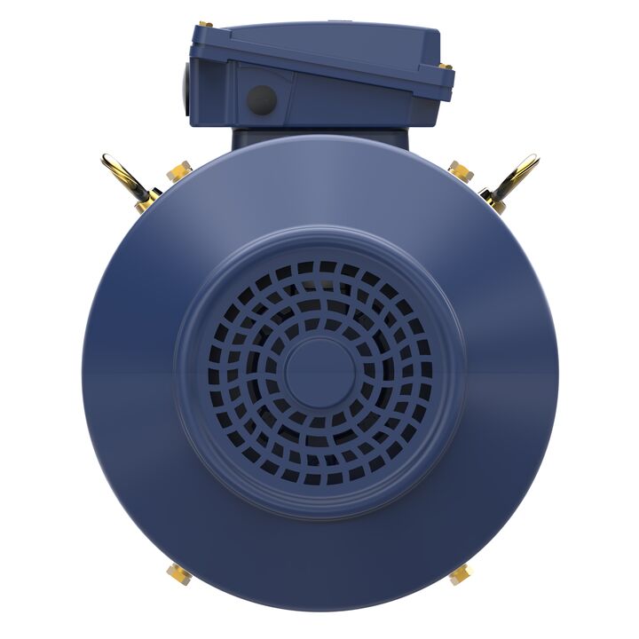 Increased Safety Motors Ex eb, Totally Enclosed Fan Cooled, 12.5 HP, 3 Ph, 50 Hz, 400 V, 980 RPM, 160L Frame