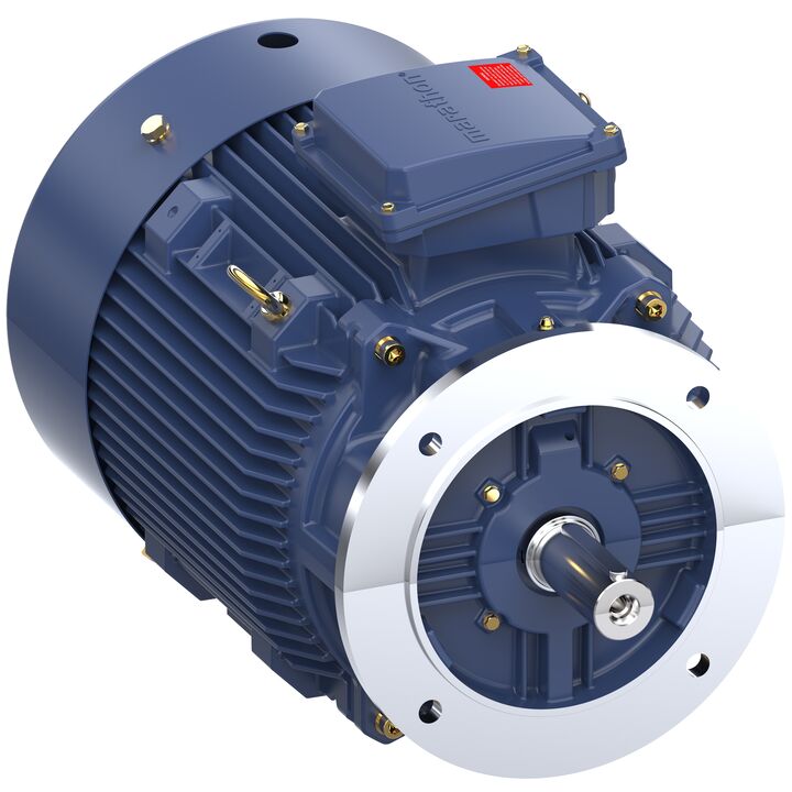 Increased Safety Motors Ex eb, Totally Enclosed Fan Cooled, 15 HP, 3 Ph, 50 Hz, 400 V, 739 RPM, 180L Frame