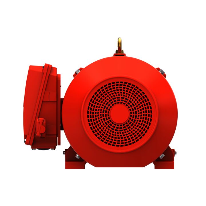 IE3, Mining Duty Motors, 75 kW, 3Ph, 2 Pole, 400/690V, B3, 50Hz, 280S Frame, TEFC