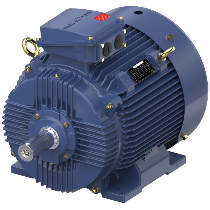 Increased Safety Motors Ex eb, Totally Enclosed Fan Cooled, 1 HP, 3 Ph, 50 Hz, 400 V, 1441 RPM, 80M Frame