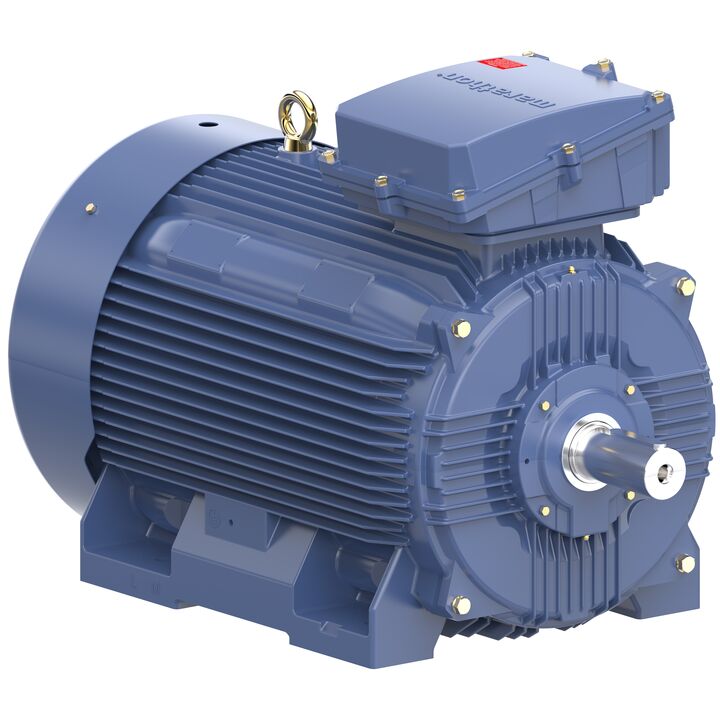 Increased Safety Motors Ex eb, Totally Enclosed Fan Cooled, 75 HP, 3 Ph, 50 Hz, 400 V, 743 RPM, 315S Frame