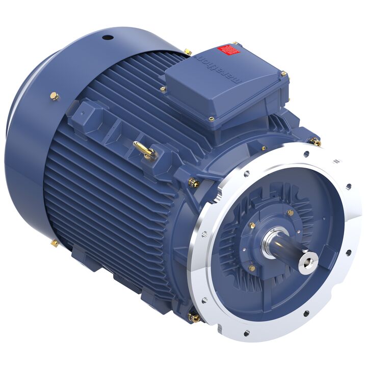 Increased Safety Motors Ex eb, Totally Enclosed Fan Cooled, 100 HP, 3 Ph, 50 Hz, 400 V, 2982 RPM, 280S Frame
