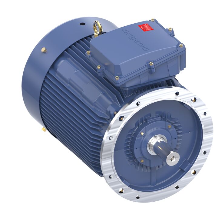 Increased Safety Motors Ex eb, Totally Enclosed Fan Cooled, 75 HP, 3 Ph, 50 Hz, 400 V, 743 RPM, 315S Frame