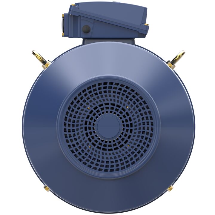 Increased Safety Motors Ex eb, Totally Enclosed Fan Cooled, 75 HP, 3 Ph, 50 Hz, 400 V, 2980 RPM, 250M Frame