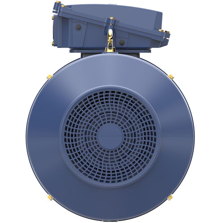 Increased Safety Motors Ex eb, Totally Enclosed Fan Cooled, 120 HP, 3 Ph, 50 Hz, 400 V, 992 RPM, 315M Frame