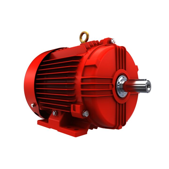 IE3, Mining Duty Motors, 2.2 kW, 3Ph, 6 Pole, 230/400V, B3, 50Hz, 112M Frame, TEFC