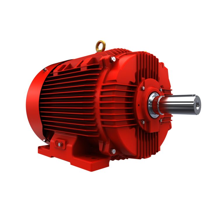 IE3, Mining Duty Motors, 55 kW, 3Ph, 2 Pole, 400/690V, B3, 50Hz, 250M Frame, TEFC