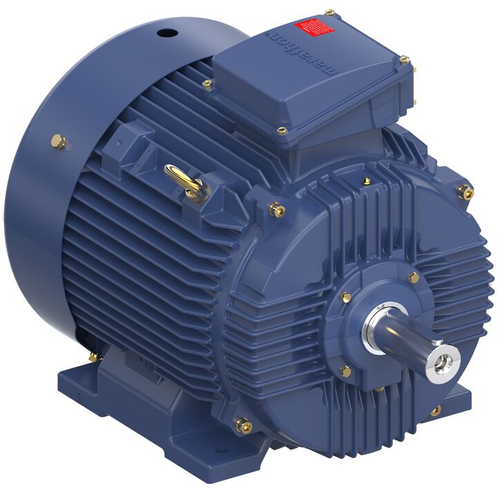 Increased Safety Motors Ex eb, Totally Enclosed Fan Cooled, 1 HP, 3 Ph, 50 Hz, 400 V, 1441 RPM, 80M Frame
