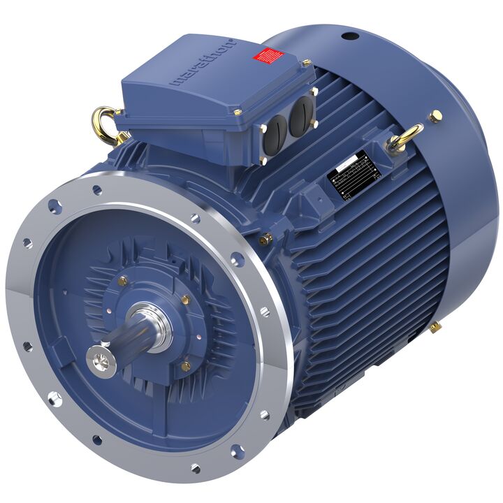 Increased Safety Motors Ex eb, Totally Enclosed Fan Cooled, 75 HP, 3 Ph, 50 Hz, 400 V, 2980 RPM, 250M Frame