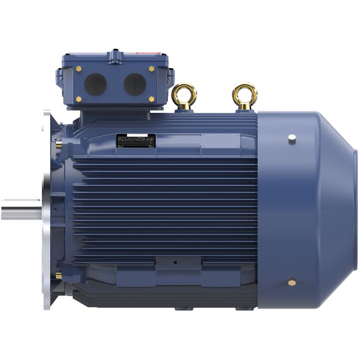 Increased Safety Motors Ex eb, Totally Enclosed Fan Cooled, 175 HP, 3 Ph, 50 Hz, 400 V, 2983 RPM, 315M Frame