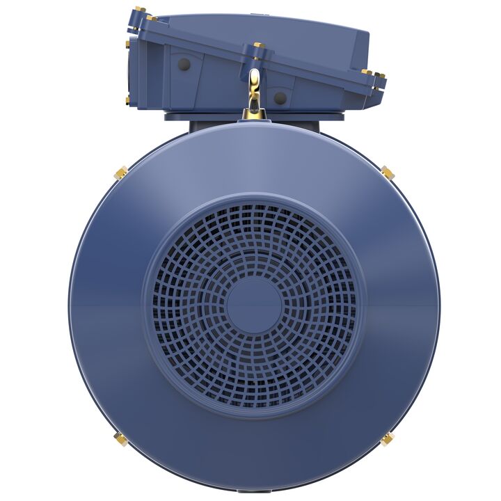 Increased Safety Motors Ex eb, Totally Enclosed Fan Cooled, 120 HP, 3 Ph, 50 Hz, 400 V, 743 RPM, 315L Frame