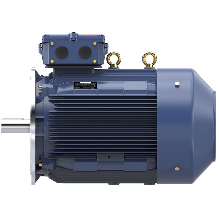 Increased Safety Motors Ex eb, Totally Enclosed Fan Cooled, 120 HP, 3 Ph, 50 Hz, 400 V, 992 RPM, 315M Frame