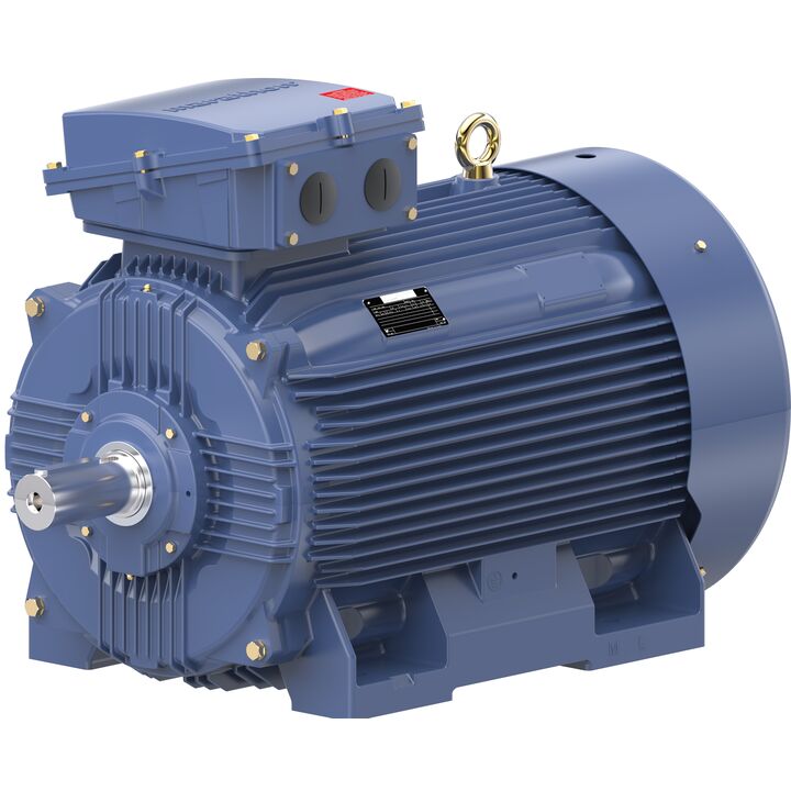 Increased Safety Motors Ex eb, Totally Enclosed Fan Cooled, 120 HP, 3 Ph, 50 Hz, 400 V, 743 RPM, 315L Frame