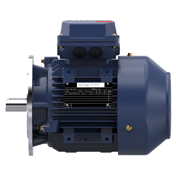 Increased Safety Motors Ex eb, Totally Enclosed Fan Cooled, 1.5 HP, 3 Ph, 50 Hz, 400 V, 1450 RPM, 90S Frame