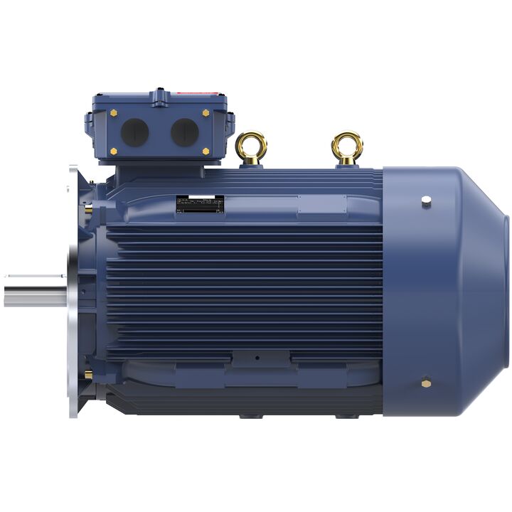 Increased Safety Motors Ex eb, Totally Enclosed Fan Cooled, 120 HP, 3 Ph, 50 Hz, 400 V, 743 RPM, 315L Frame