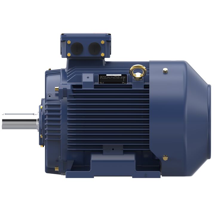 Increased Safety Motors Ex eb, Totally Enclosed Fan Cooled, 75 HP, 3 Ph, 50 Hz, 400 V, 989 RPM, 280M Frame