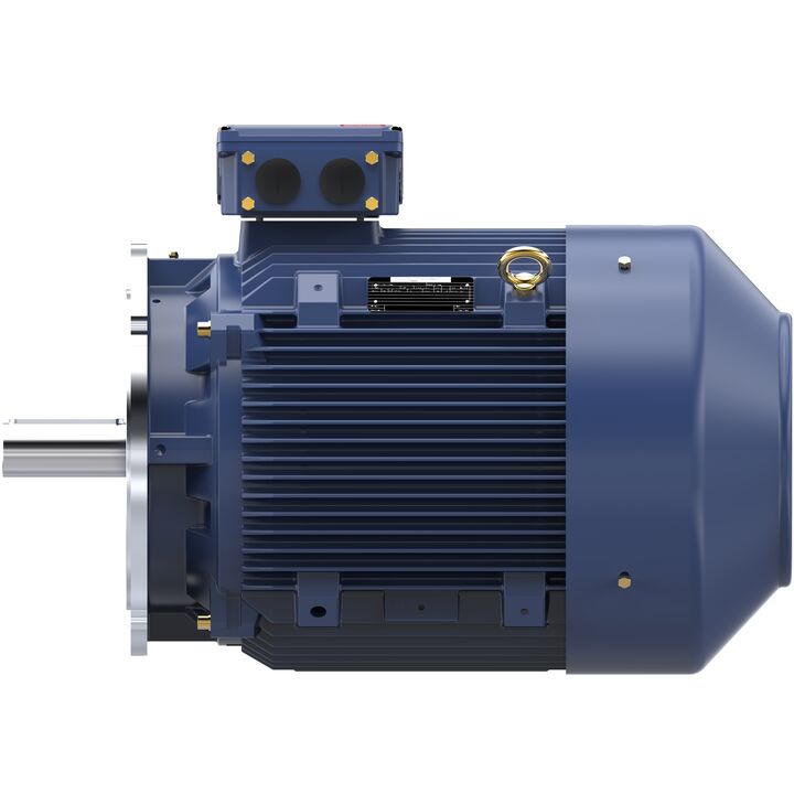 Increased Safety Motors Ex eb, Totally Enclosed Fan Cooled, 120 HP, 3 Ph, 50 Hz, 400 V, 1489 RPM, 280M Frame