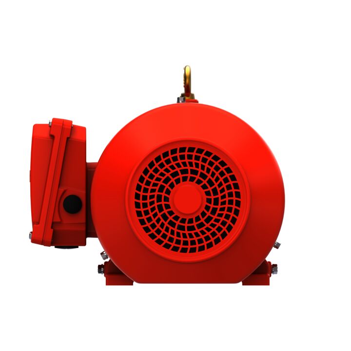 IE3, Mining Duty Motors, 1.5 kW, 3Ph, 6 Pole, 230/400V, B3, 50Hz, 100L Frame, TEFC