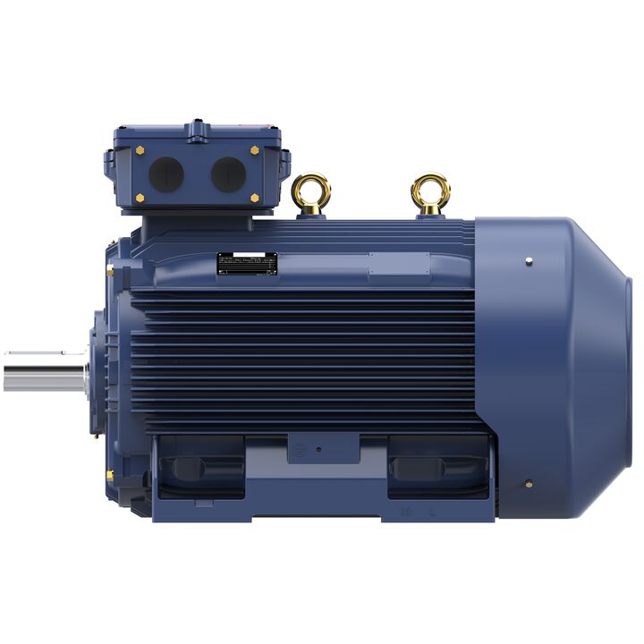 Increased Safety Motors Ex eb, Totally Enclosed Fan Cooled, 120 HP, 3 Ph, 50 Hz, 400 V, 743 RPM, 315L Frame