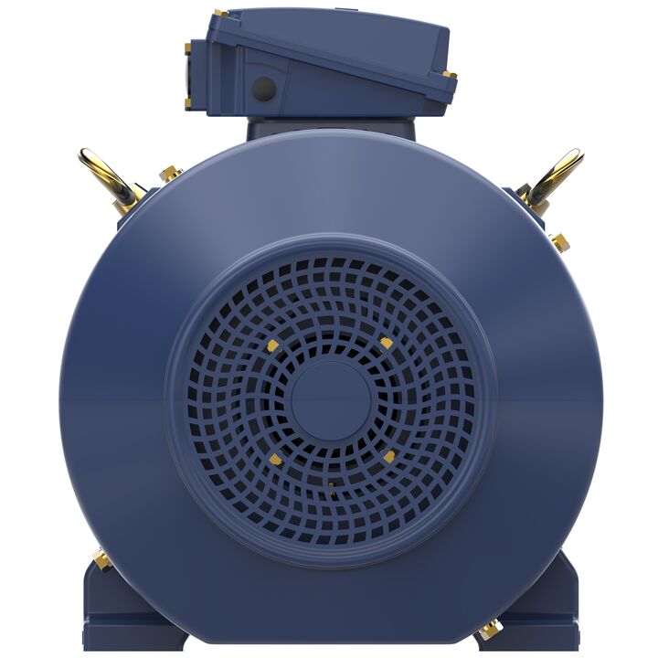 Increased Safety Motors Ex eb, Totally Enclosed Fan Cooled, 1 HP, 3 Ph, 50 Hz, 400 V, 1441 RPM, 80M Frame