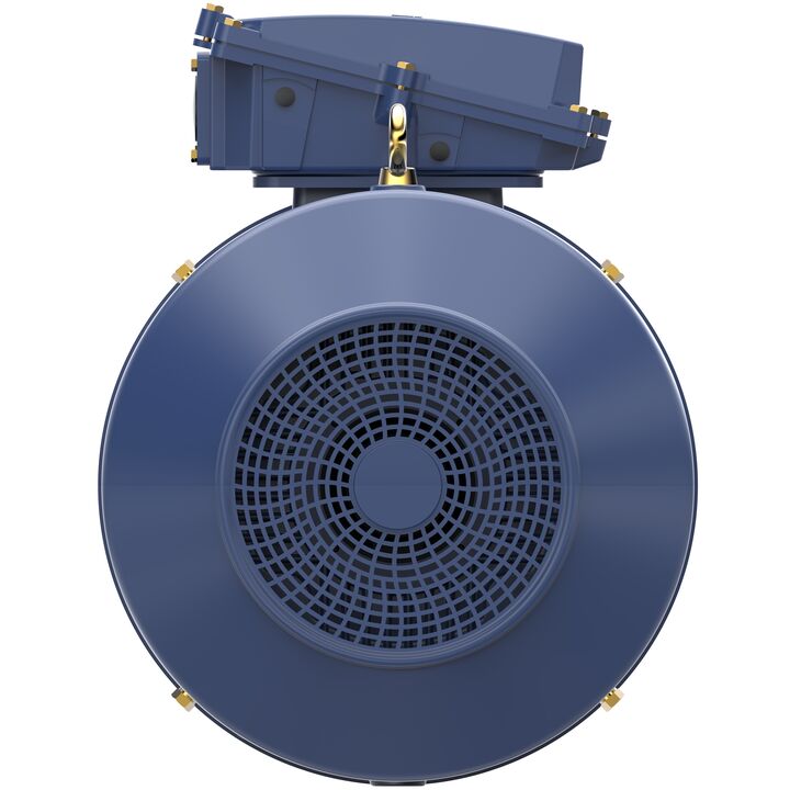 Increased Safety Motors Ex eb, Totally Enclosed Fan Cooled, 175 HP, 3 Ph, 50 Hz, 400 V, 2983 RPM, 315M Frame