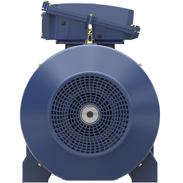 Increased Safety Motors Ex eb, Totally Enclosed Fan Cooled, 120 HP, 3 Ph, 50 Hz, 400 V, 743 RPM, 315L Frame
